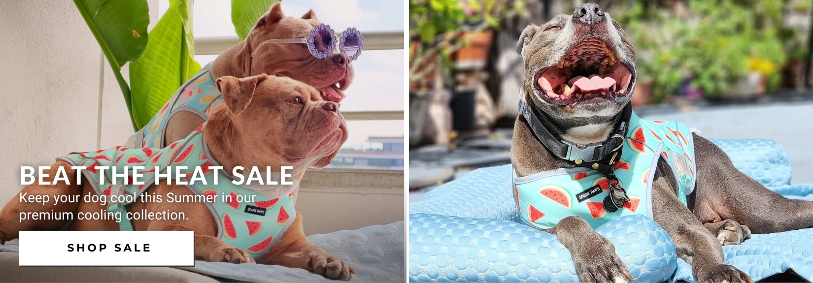 Elevated Style for You Both