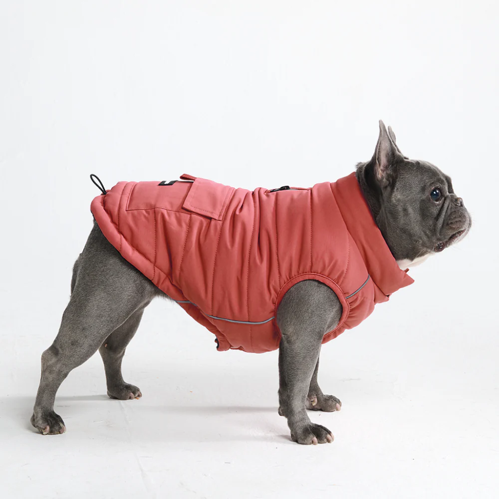 Product image 66
