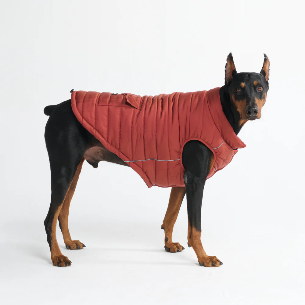 Product image 74