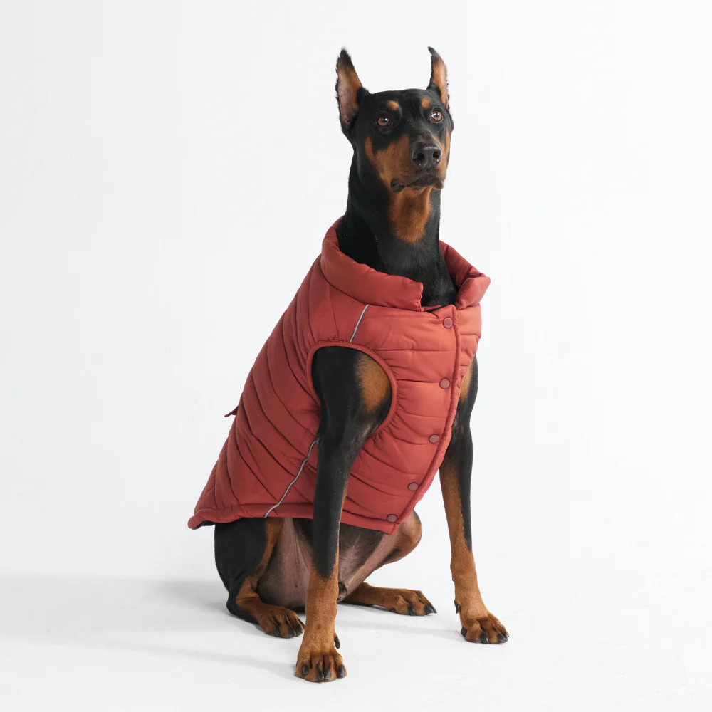 Product image 73