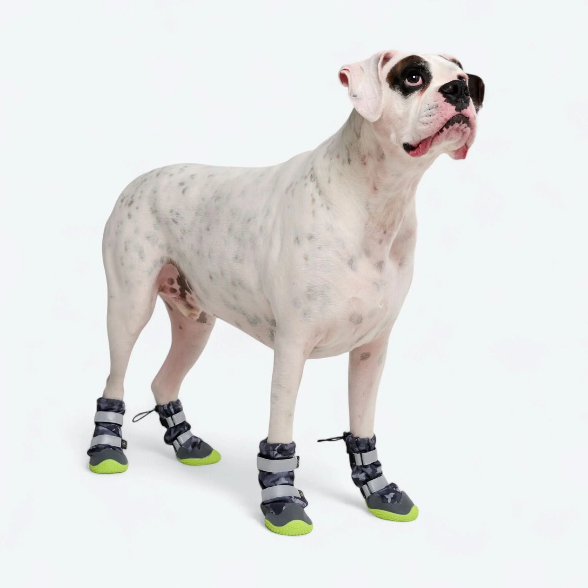 Product image 36