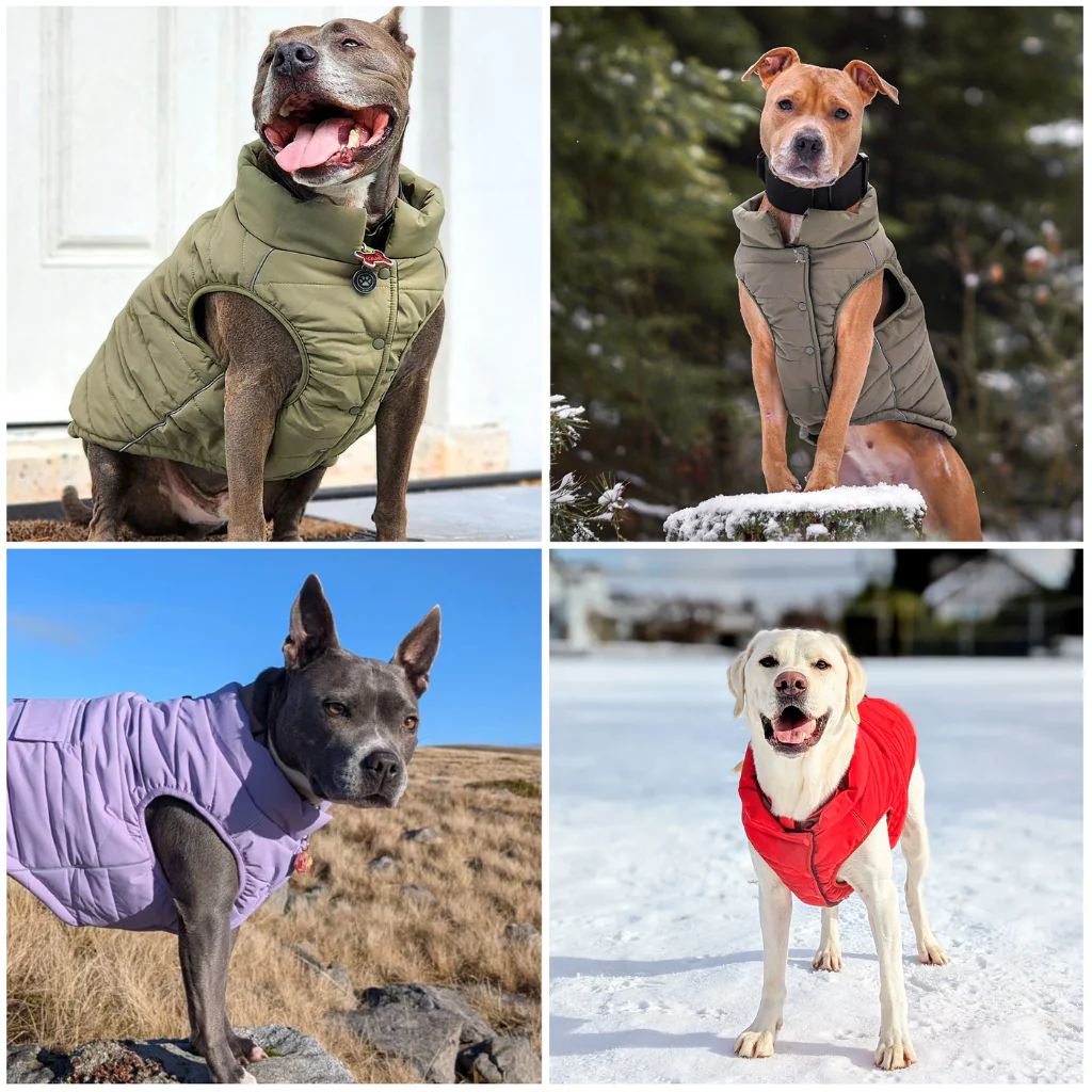 Product image 115