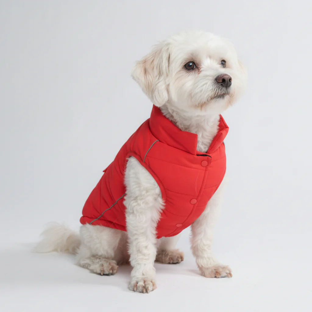Product image 77
