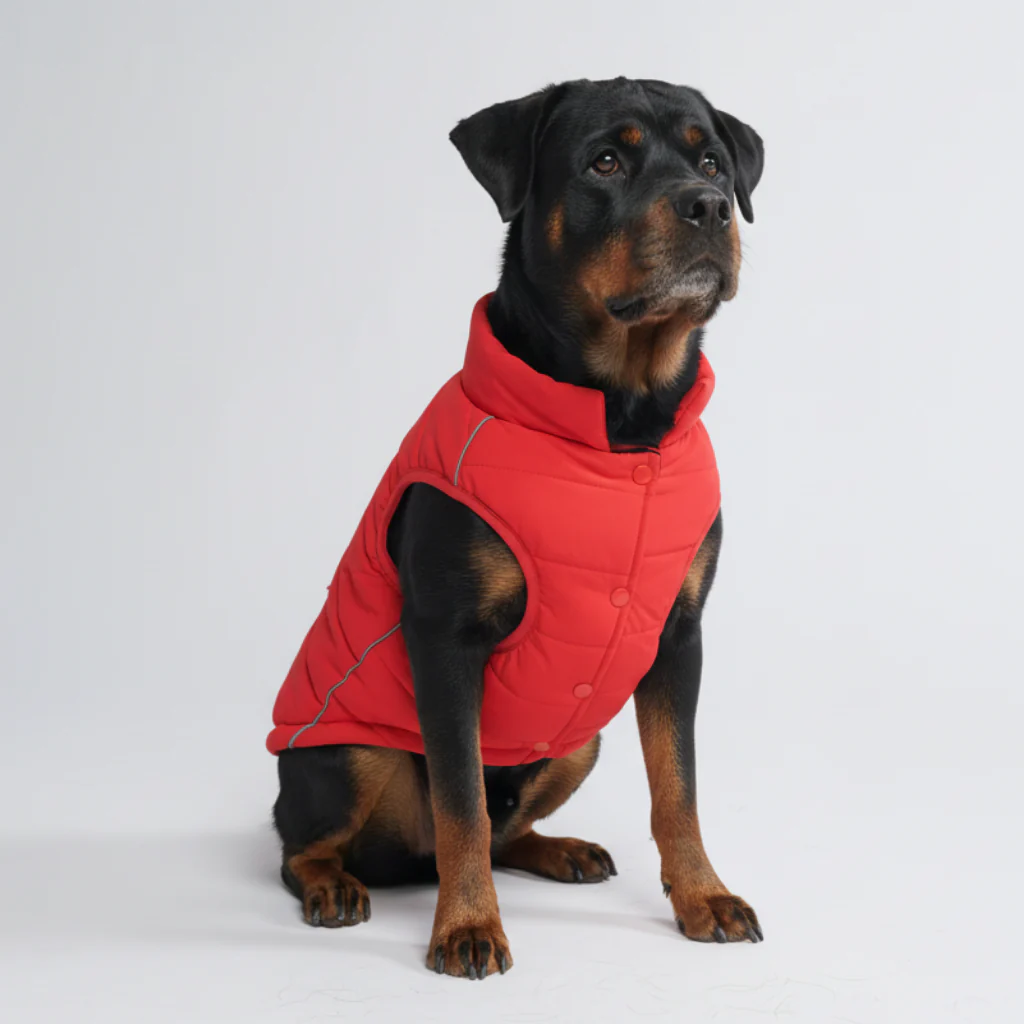 Product image 81